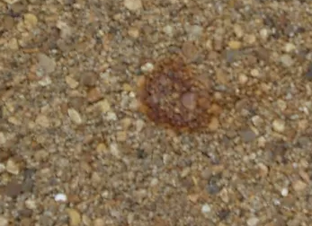 Rust spots resin driveway
